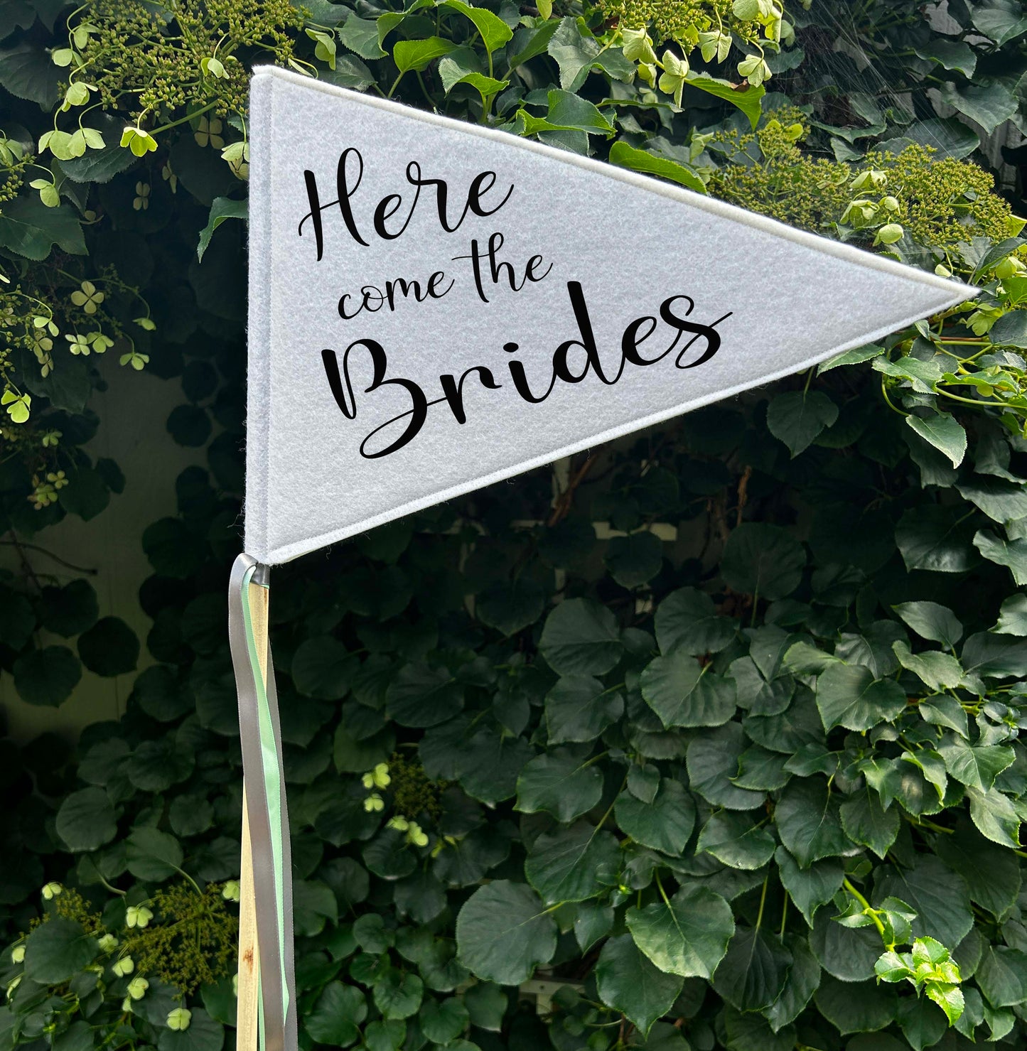 Wedding Pennant Flag - Here Come the Brides