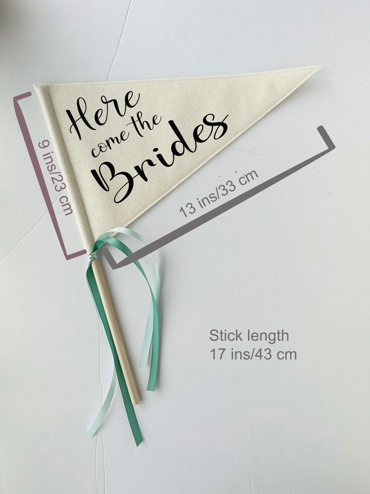 Wedding Pennant Flag - Here Come the Brides