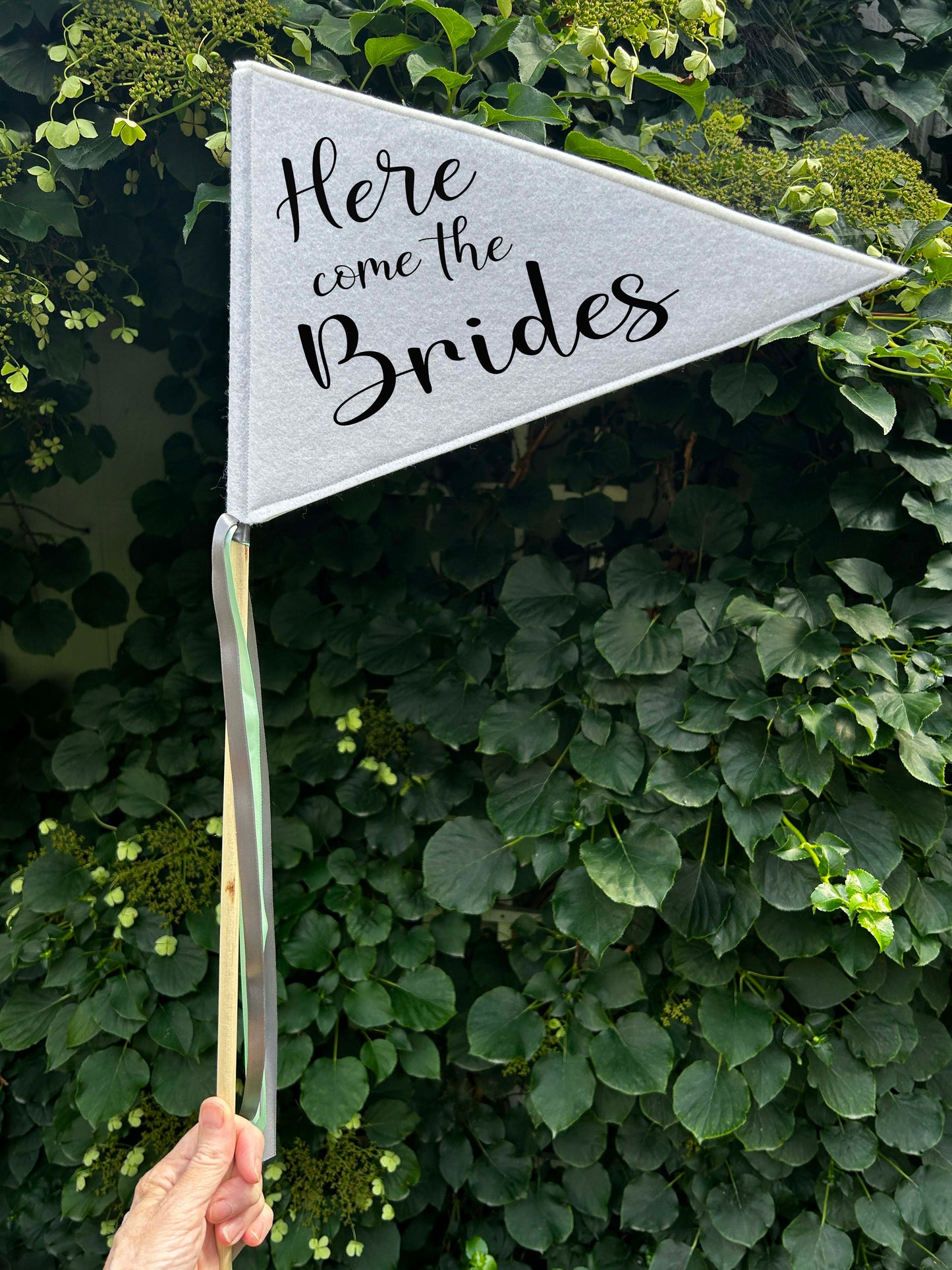Wedding Pennant Flag - Here Come the Brides