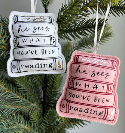 He sees what you've been Reading - Book Stack Felt Ornament