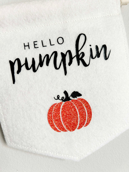 Hello Pumpkin - Felt Banner