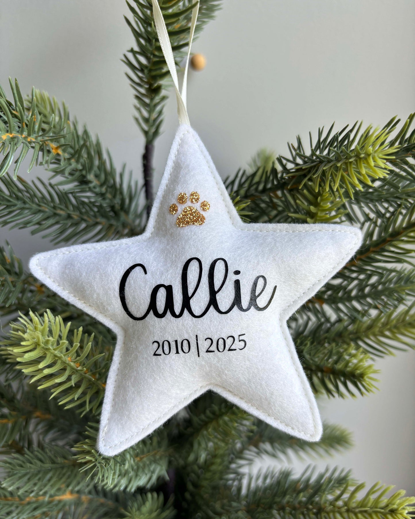 Personalized Pet Memorial Ornament - Paw Print Keepsake