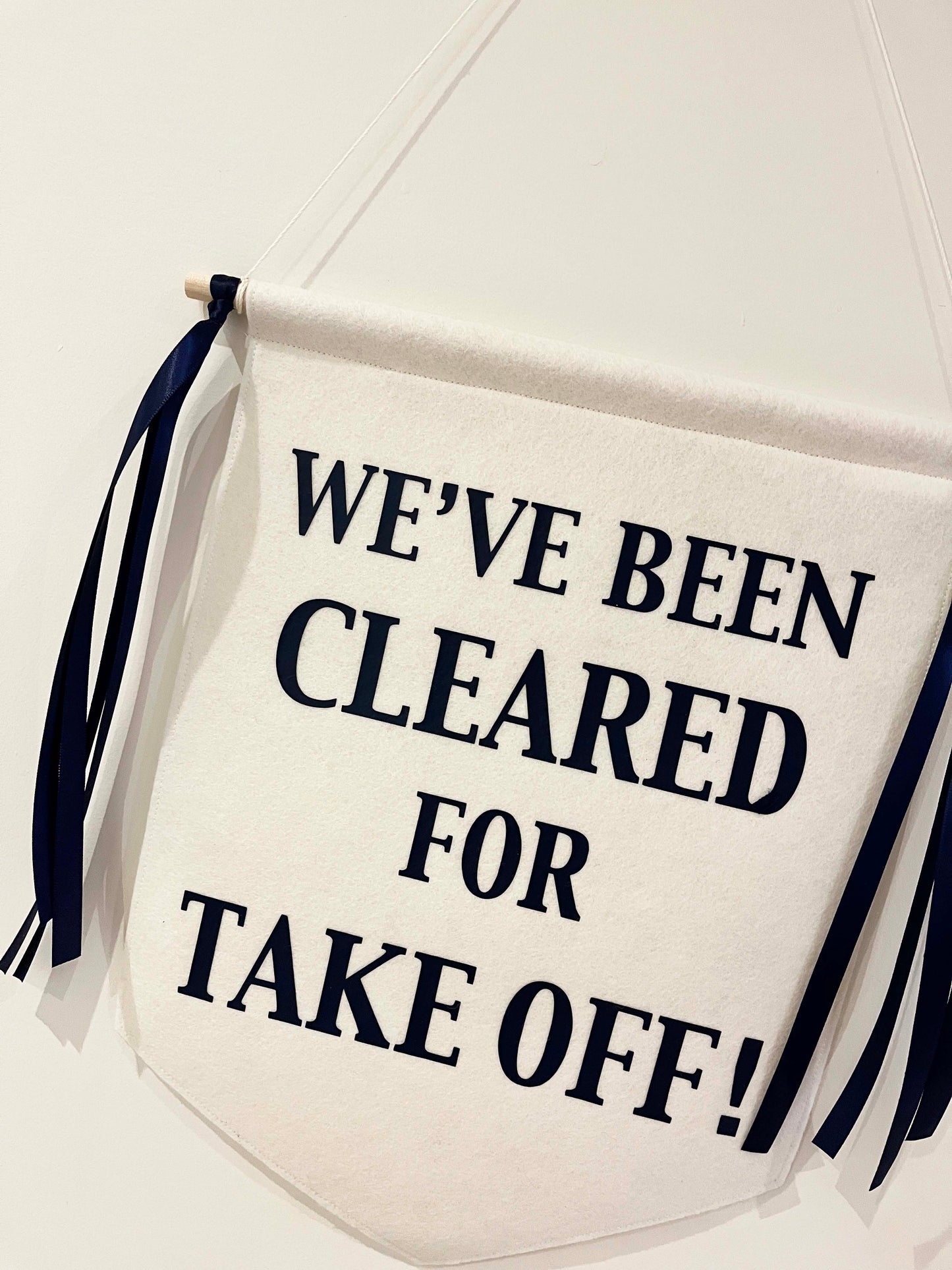 Custom Wedding Sign/Banner - Cleared For Take Off