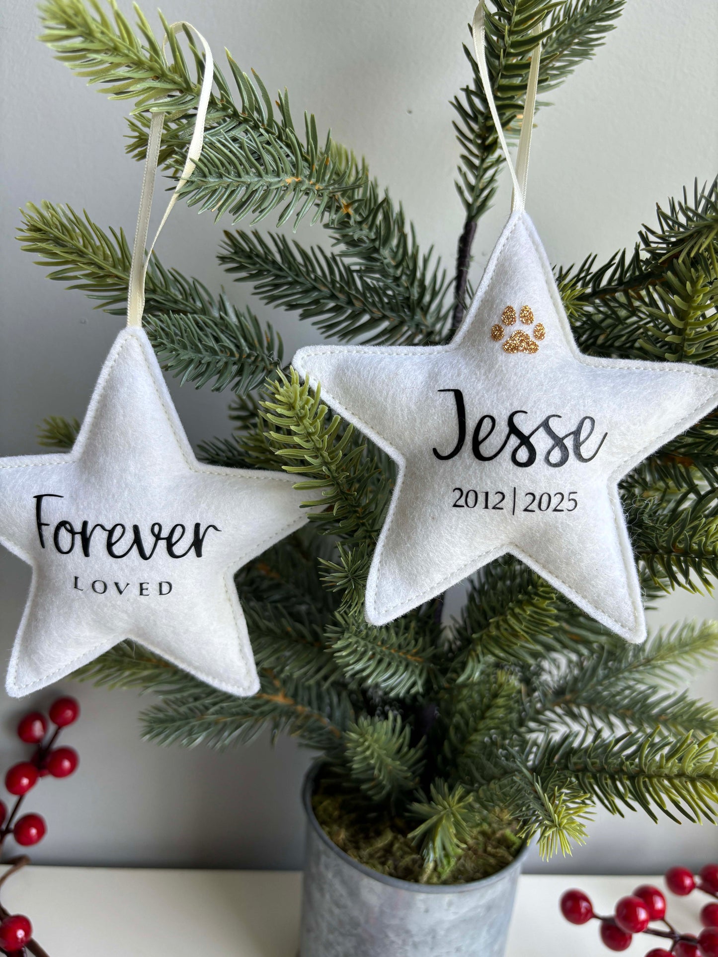 Personalized Pet Memorial Ornament - Paw Print Keepsake