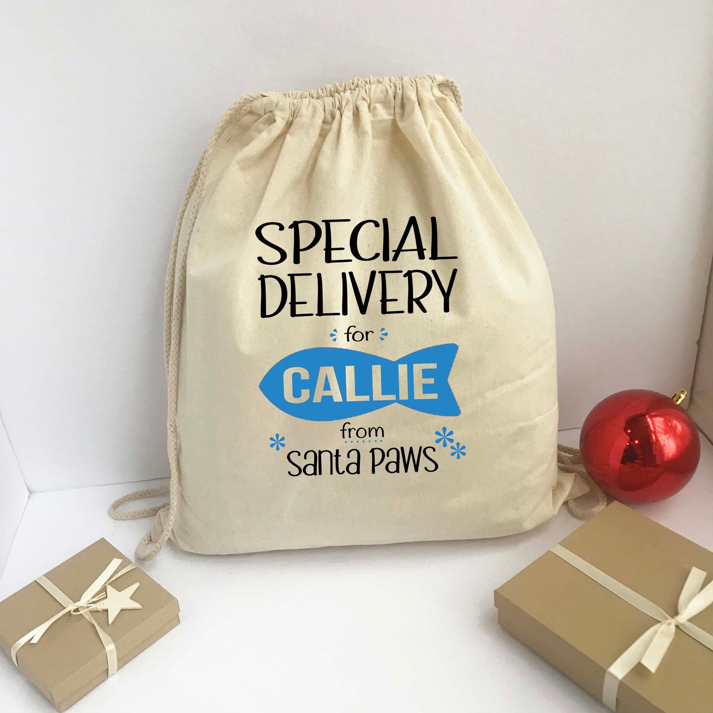 Personalized Santa Sack - Christmas Gift Bag Cat