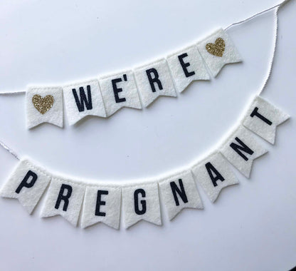 We're Pregnant Cake Banner